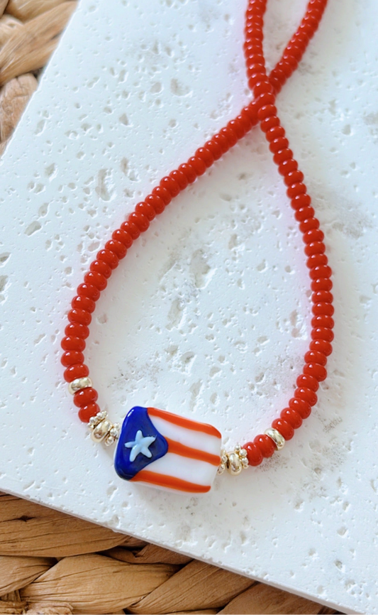 Mi bandera 🇵🇷❣️