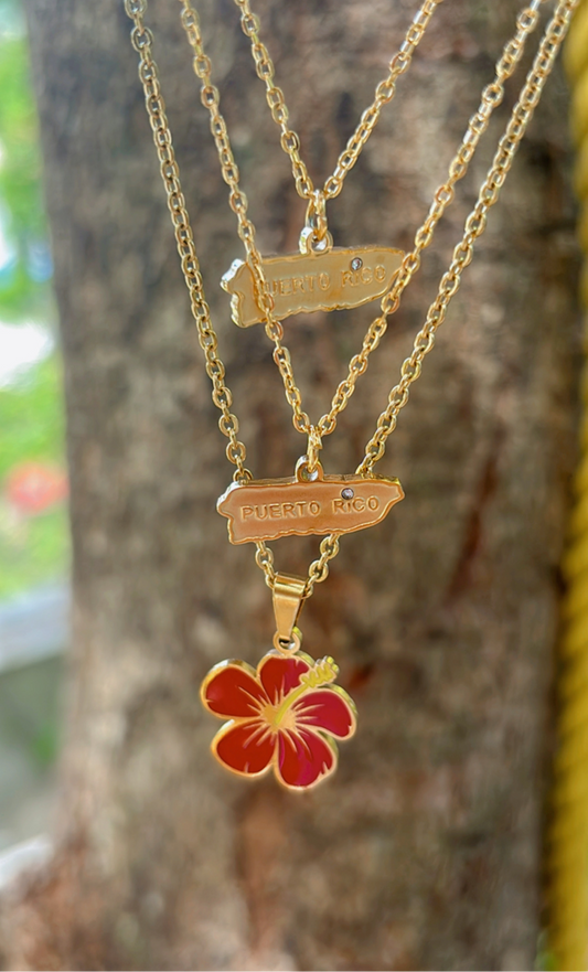 PR es otra cosa🇵🇷