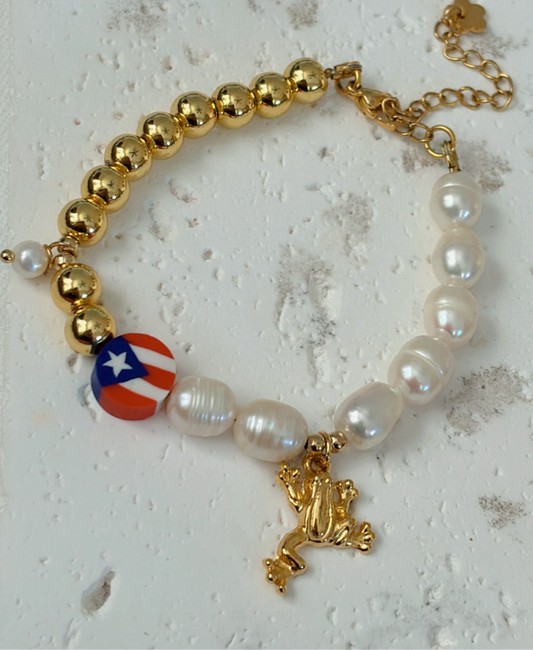 Yo soy de aquí como el coquí🇵🇷