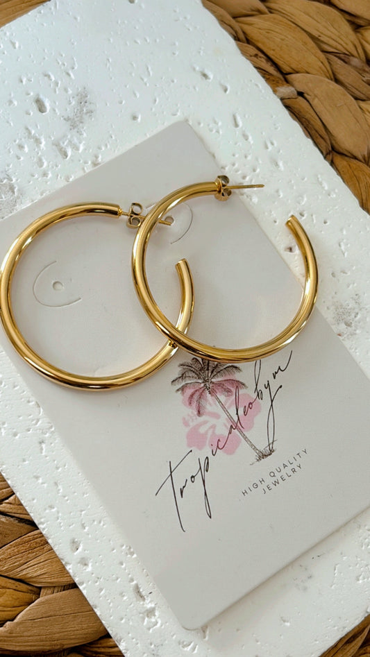 Lisa Hoops